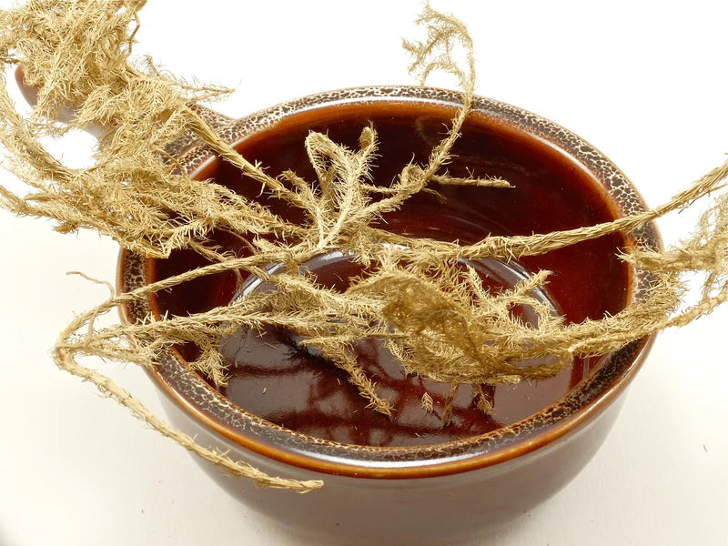 Club Moss Whole