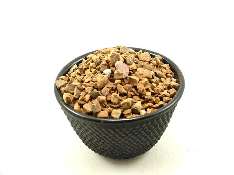 Kola Nut Cut