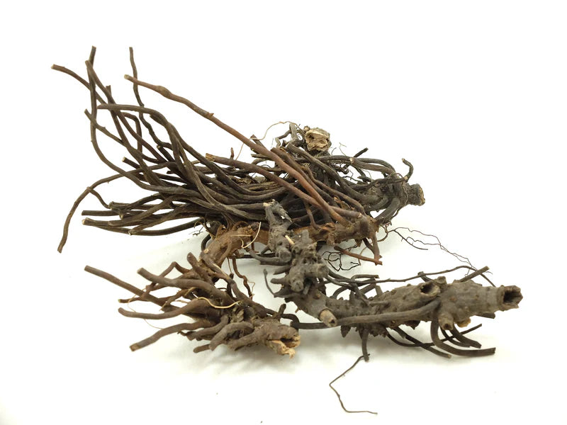 Culver's Root Whole