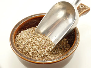 Echinacea Root Cut